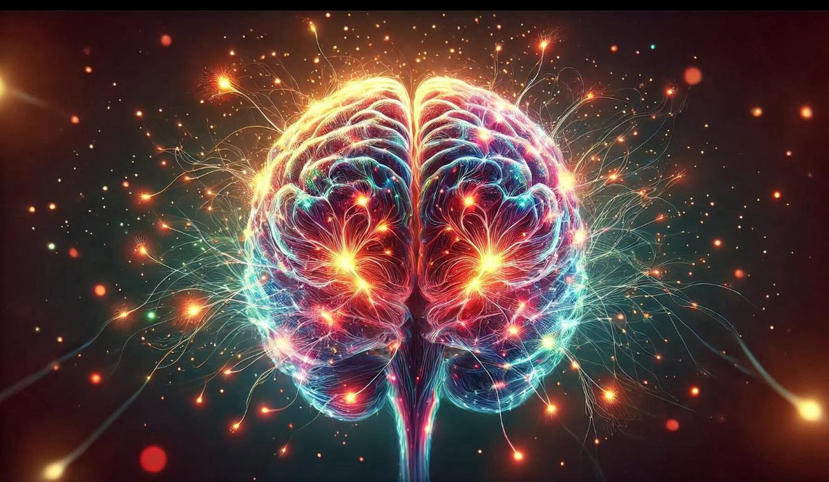 What Habits Can Help Prevent Alzheimer's?
